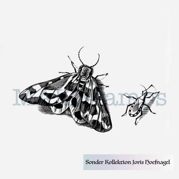 Butterfly stamp MAKIstamps Hoefnagel special collection rubber art stamps