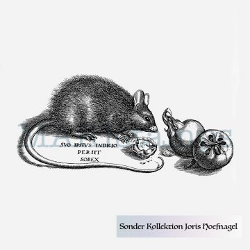 Mouse rubber stamp MAKIstamps Hoefnagel special collection rubber art stamps