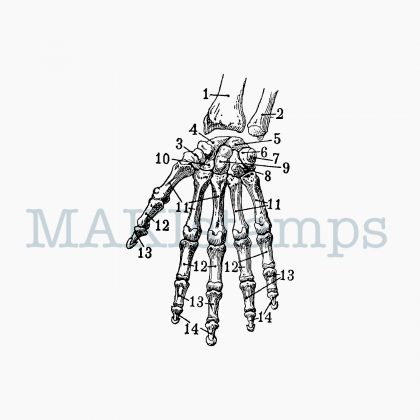 Skelett Hand Stempel MAKIstamps