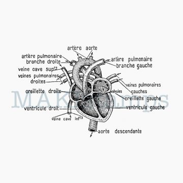 Medizin Stempel Herz MAKIstamps