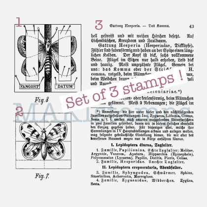 Schmetterling Stempel Set MAKIstamps Motivstempel