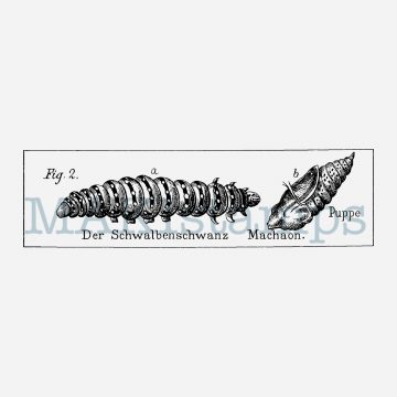 caterpillar stamp MAKIstamps journaling stamps