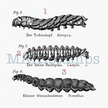 caterpillar rubber stamp set MAKIstamps