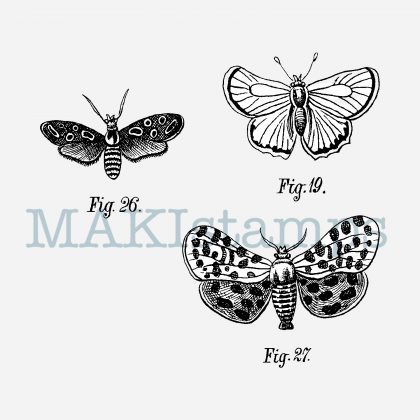 butterfly stamp set MAKIstamps