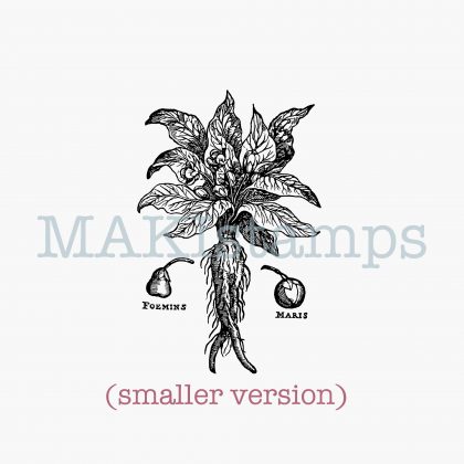 rubber stamp mandrake MAKIstamps