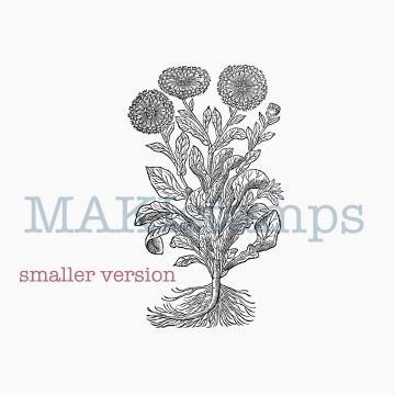 plant rubber stamp MAKIstamps
