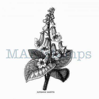 Plant rubber stamp MAKIstamps