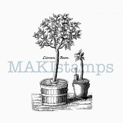 Lemon tree rubber stamp MAKIstamps