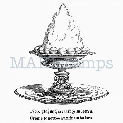 Fine Dining Stempel Rahmschnee mit Himbeeren - unmontiertes Stempelgummi oder auf Haftschaum (210404)