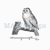 rubber stamp barn owl MAKIstamps