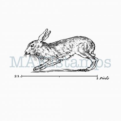 rubber stamp hare MAKIstamps