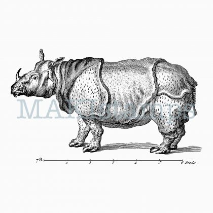 rubber stamp rhino MAKIstamps