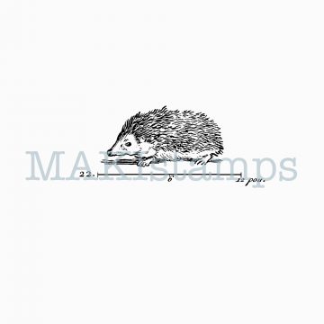 rubber stamp hedgehog MAKIstamps