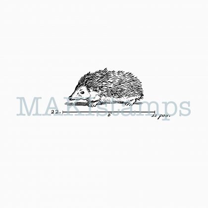 rubber stamp hedgehog MAKIstamps