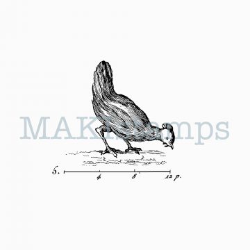 rubber stamp chicken