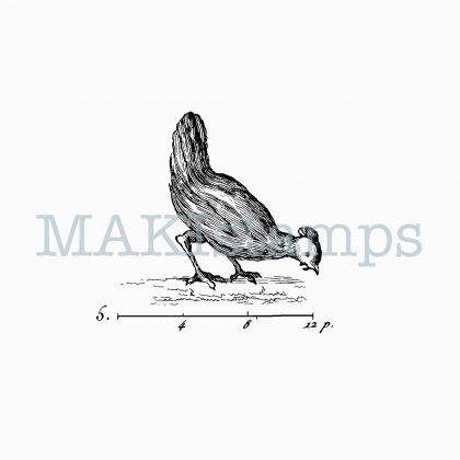 rubber stamp chicken