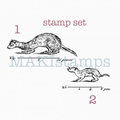 rubber stamp set ferrets MAKIstamps