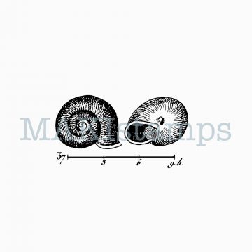 Snail stamp MAKIstamps