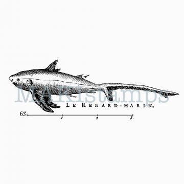 Shark rubber stamp 18th century
