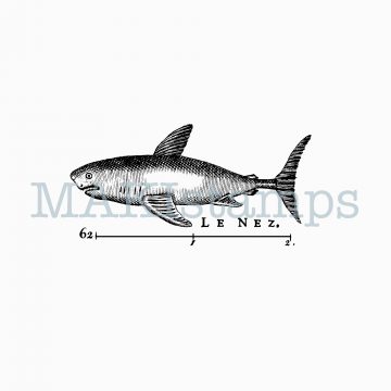 Vintage shark rubber stamp MAKIstamps