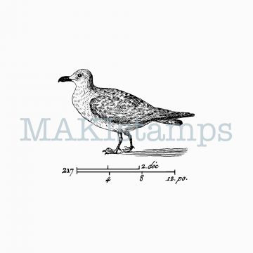 rubber art stamp gull MAKIstamps