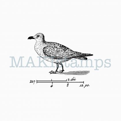 rubber art stamp gull MAKIstamps