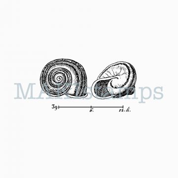 Rubber stamps snails MAKIstamps