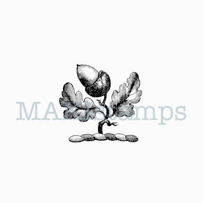 rubber stamp medieval acorn heraldry rubber art stamp MAKIstamps