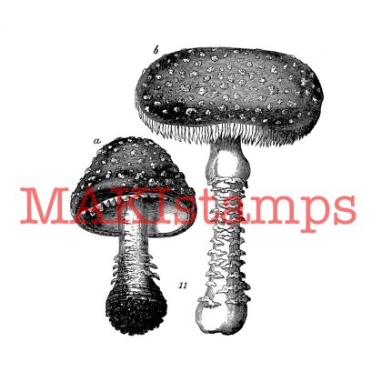 botanical fly agaric rubber stamp