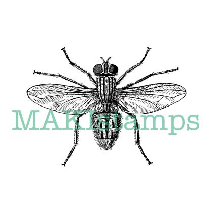 science rubber stamp realistic fly