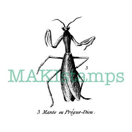 vintage insect rubber stamp mantis