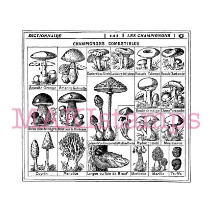 mushroom rubber stamp MAKIstamps