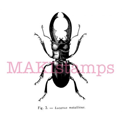 stag beetle rubber stamp MAKistamps