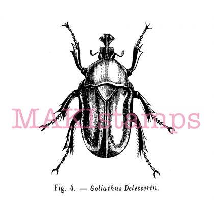 bug rubber stamp MAKIstamps