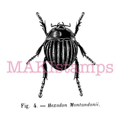 bug rubber stamp beetle insect MAKIstamps