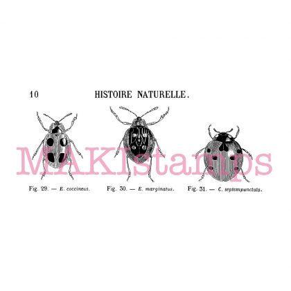 Rubber art stamp set lady bug