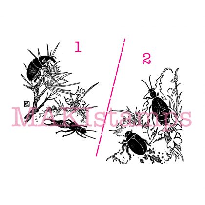 field note stamp insect