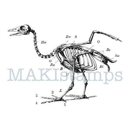 rubber stamp goose skeleton