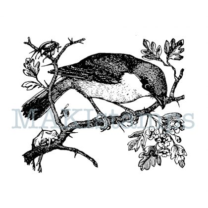 red-backed shrike rubber stamp