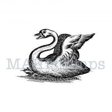 woodcut stamp swan MAKIstamps