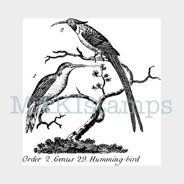 hummingbird vintage rubber art stamp MAKIstamps