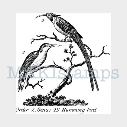 hummingbird vintage rubber art stamp MAKIstamps