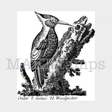 woodpecker rubber stamp MAKIstamps