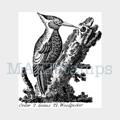 woodpecker rubber stamp