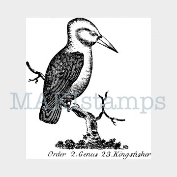 Kingfisher rubber stamp MAKIstamps