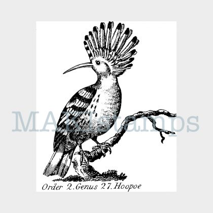 Hoopoe rubber stamp MAKIstamps