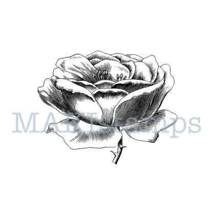 rubber stamp rose