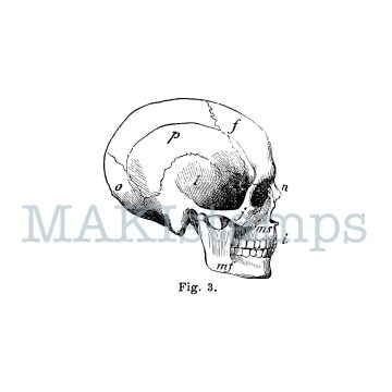rubber stamp Halloween skull MAKIstamps