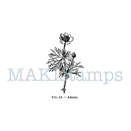 botany rubber stamp MAKIstamps