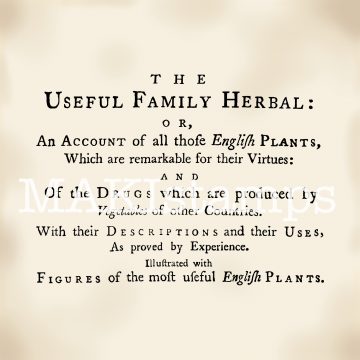 Botanical text rubber stamp MAKIstamps